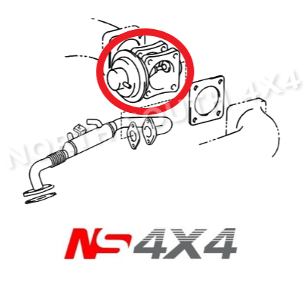 Ns4x4